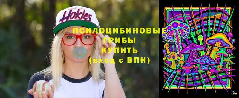 Псилоцибиновые грибы MAGIC MUSHROOMS  купить наркотик  Николаевск-на-Амуре 